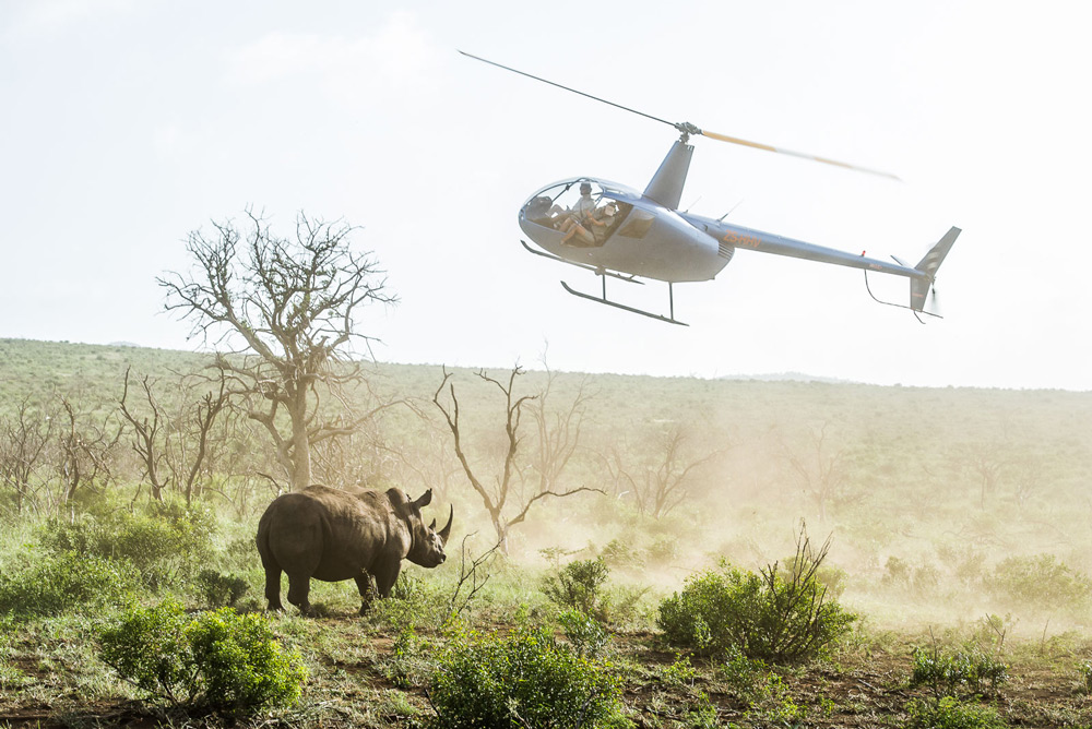 rhino-helicopter-peter-chadwick