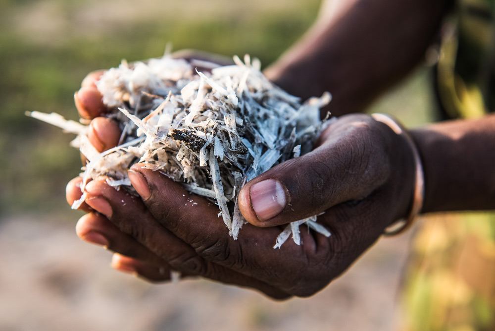 rhino-horn-shavings-peter-chadwick