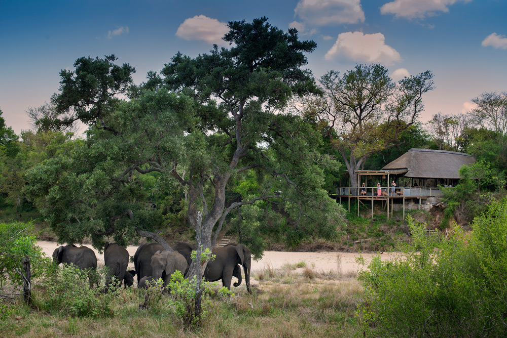 tanda-tula-safari-camp