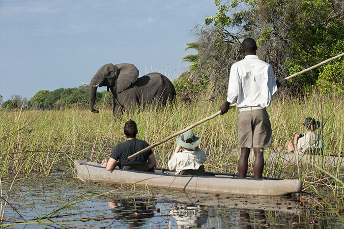 Top 10 things to do in Botswana