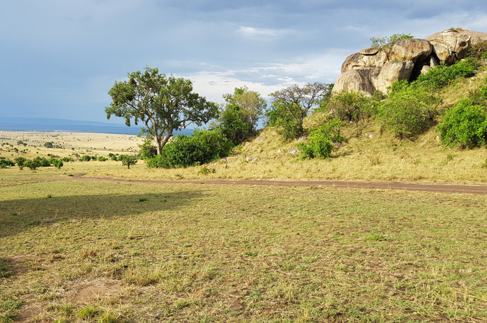 Great Wildebeest Migration Kenya Tanzania with Africa Geographic