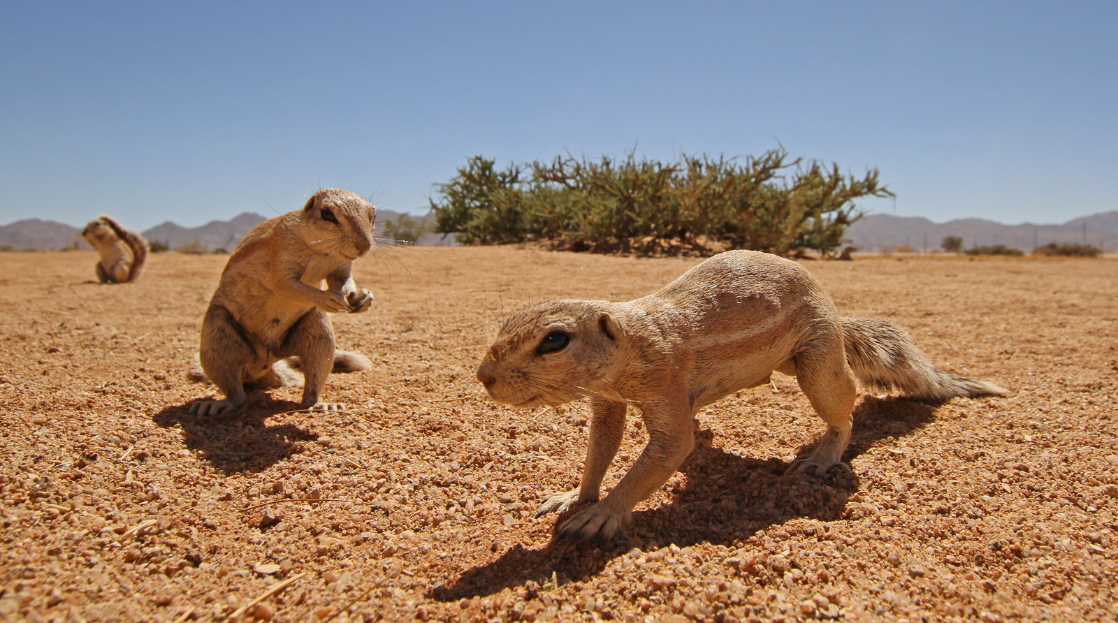 Namibia