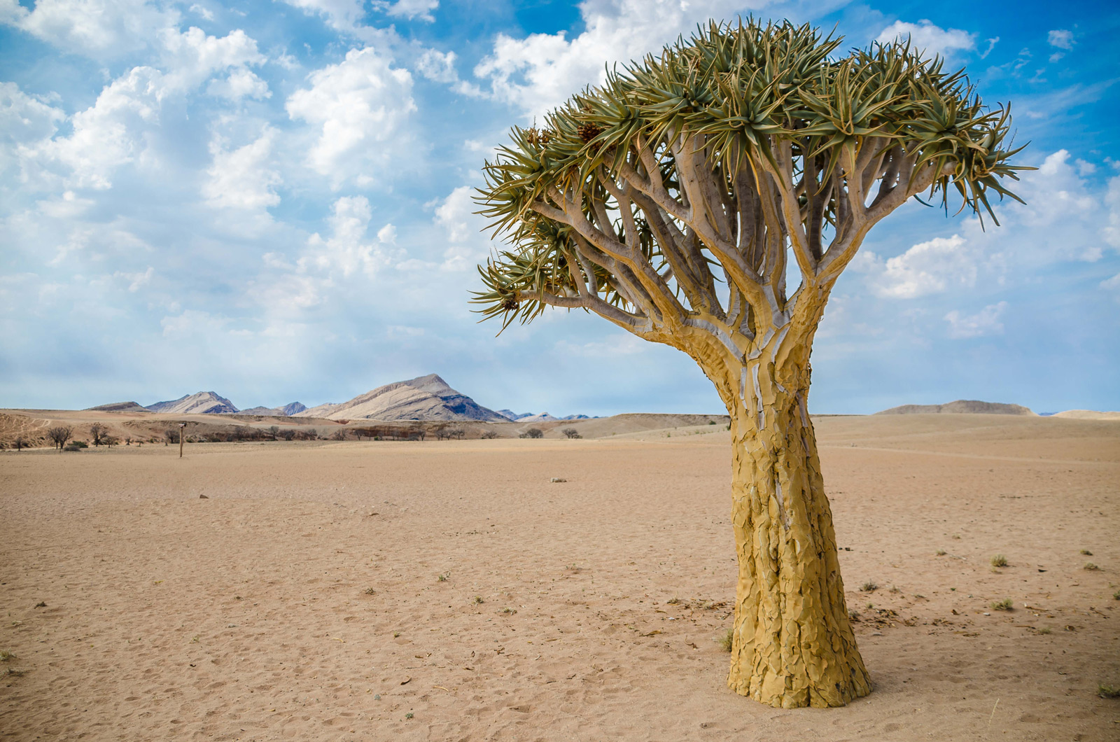 Namibia