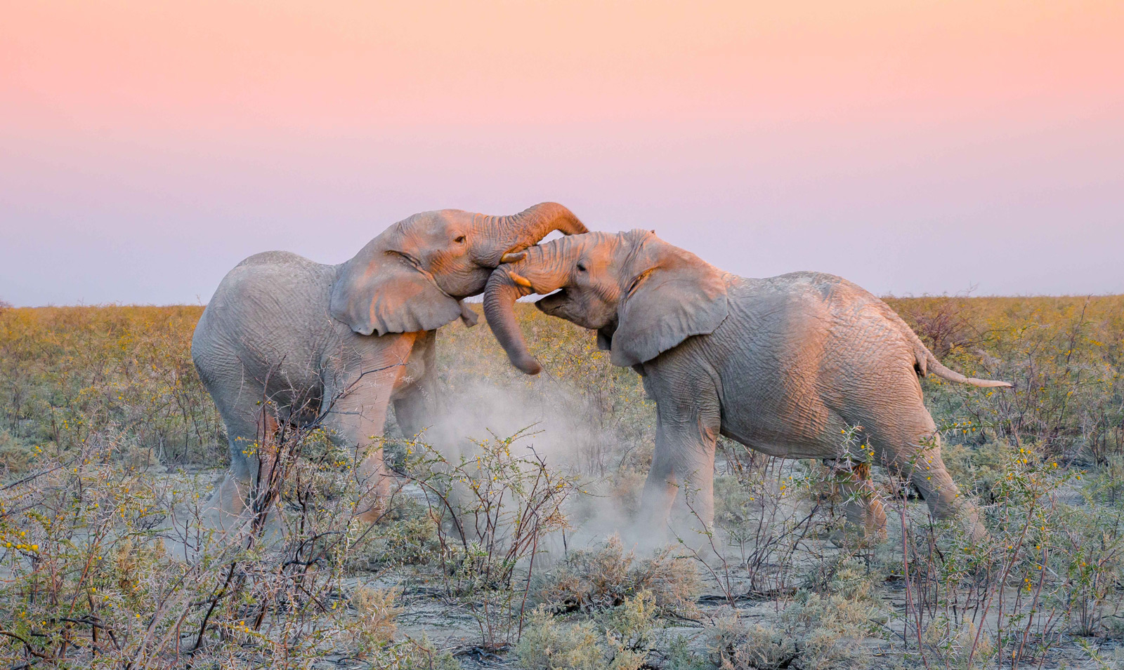 namibia