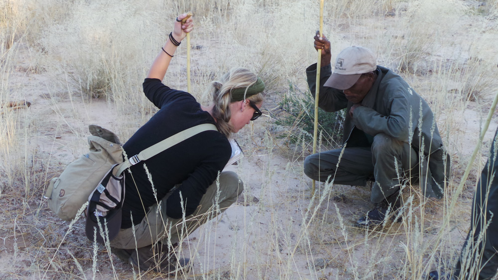 aleksandra-san-bushman-examine-tracks