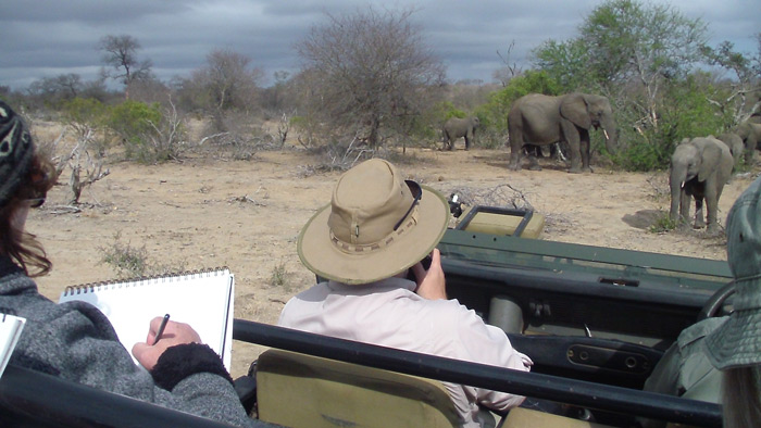 Artists on a game drive vehicle, Art safari in Africa