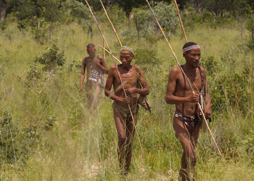 san-bushmen-walking