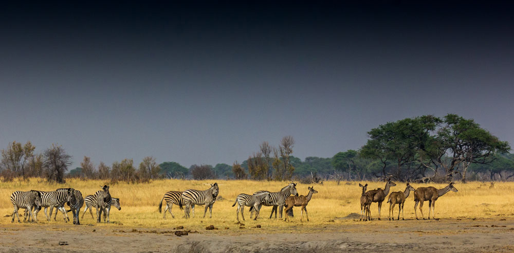 Rain approaches Hwange © Tim Marks