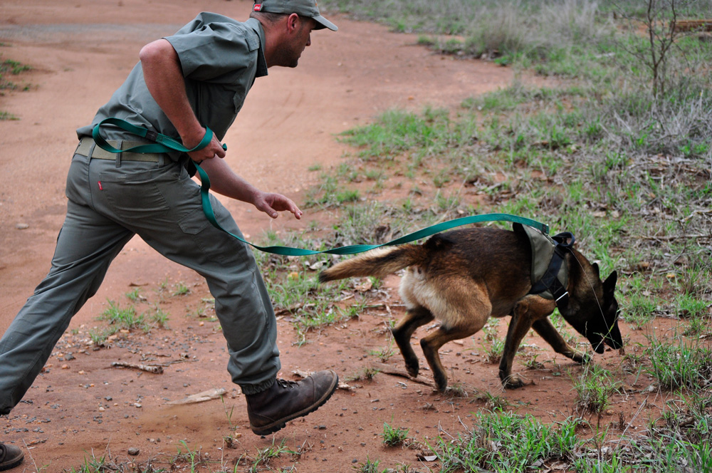 Anti-poaching