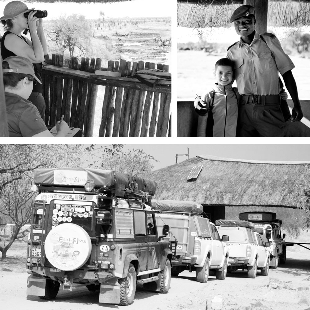 Clockwise from left: WEZ volunteers scanning and recording as zebras drink at Big Toms Hide © Tony Park; Making friends with the Hwange Park Rangers ©Annelien Oberholzer; An unusual sight: vehicles queueing to enter Hwange ©Annelien Oberholzer