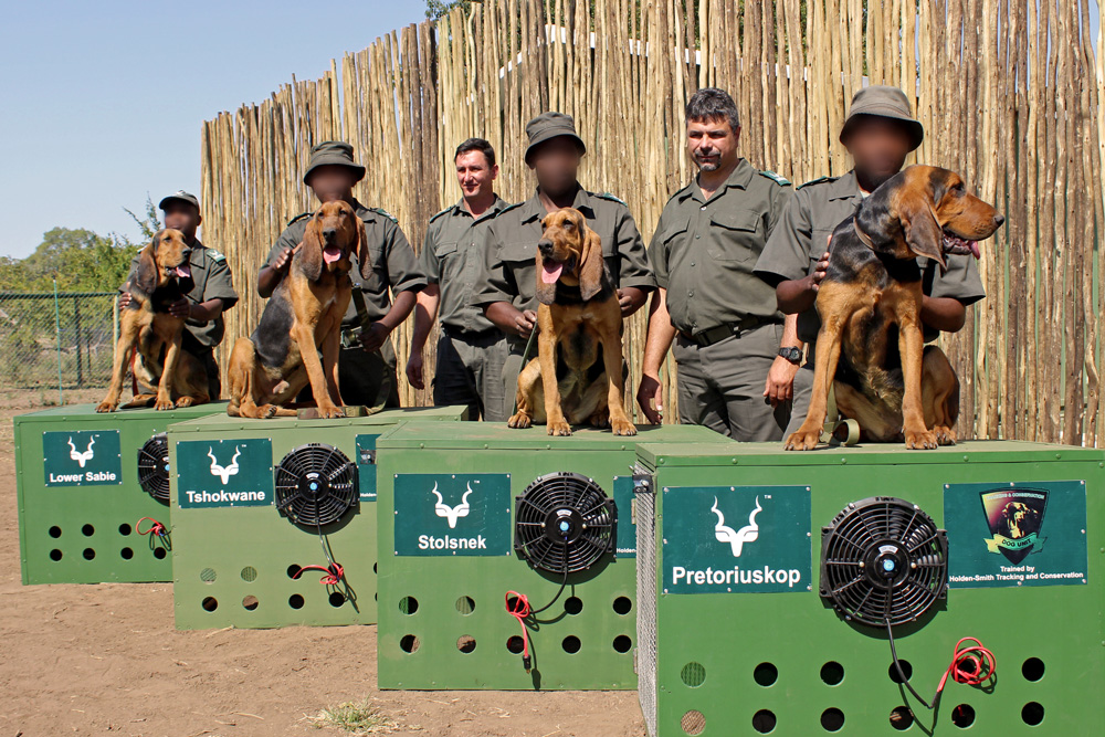 new-dogs-kruger-canine-unit