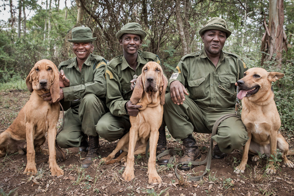 Anti-poaching