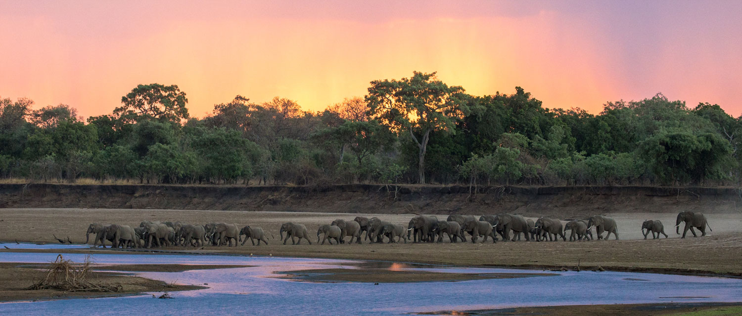 South Luangwa