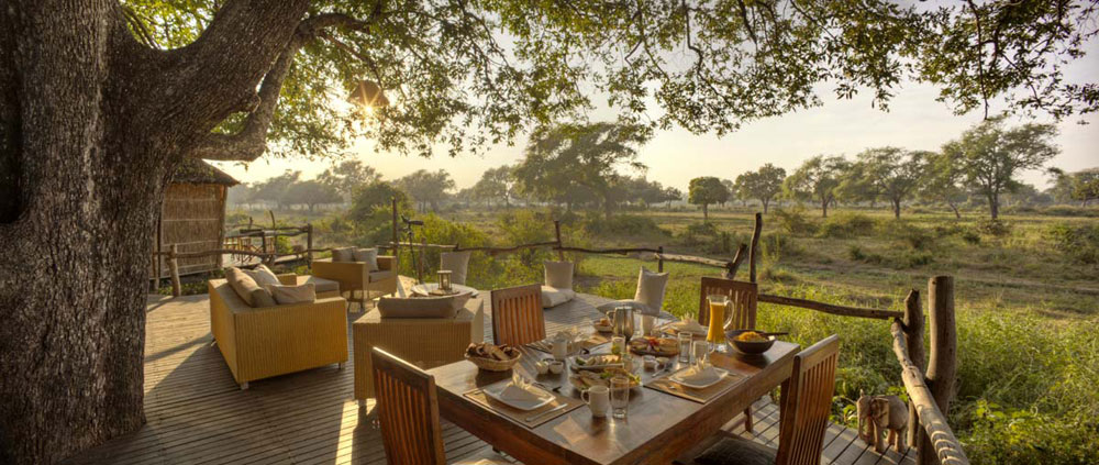 The Jackal-Berry tree house at Flatdogs Camp is built around three live African ebony trees (Diospyros mespiliformis) with unspoilt views out across a dambo and lagoon system which is regularly visited by elephant and giraffe.