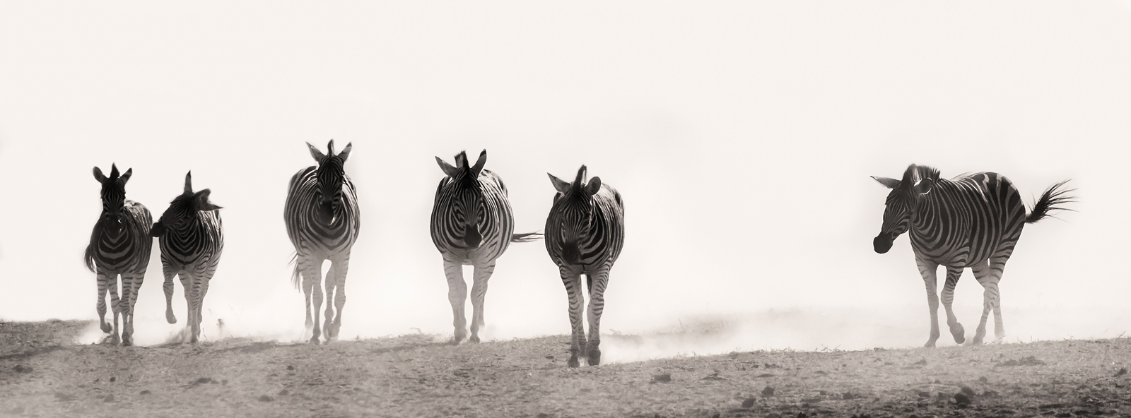 Mphongolo Kruger National Park