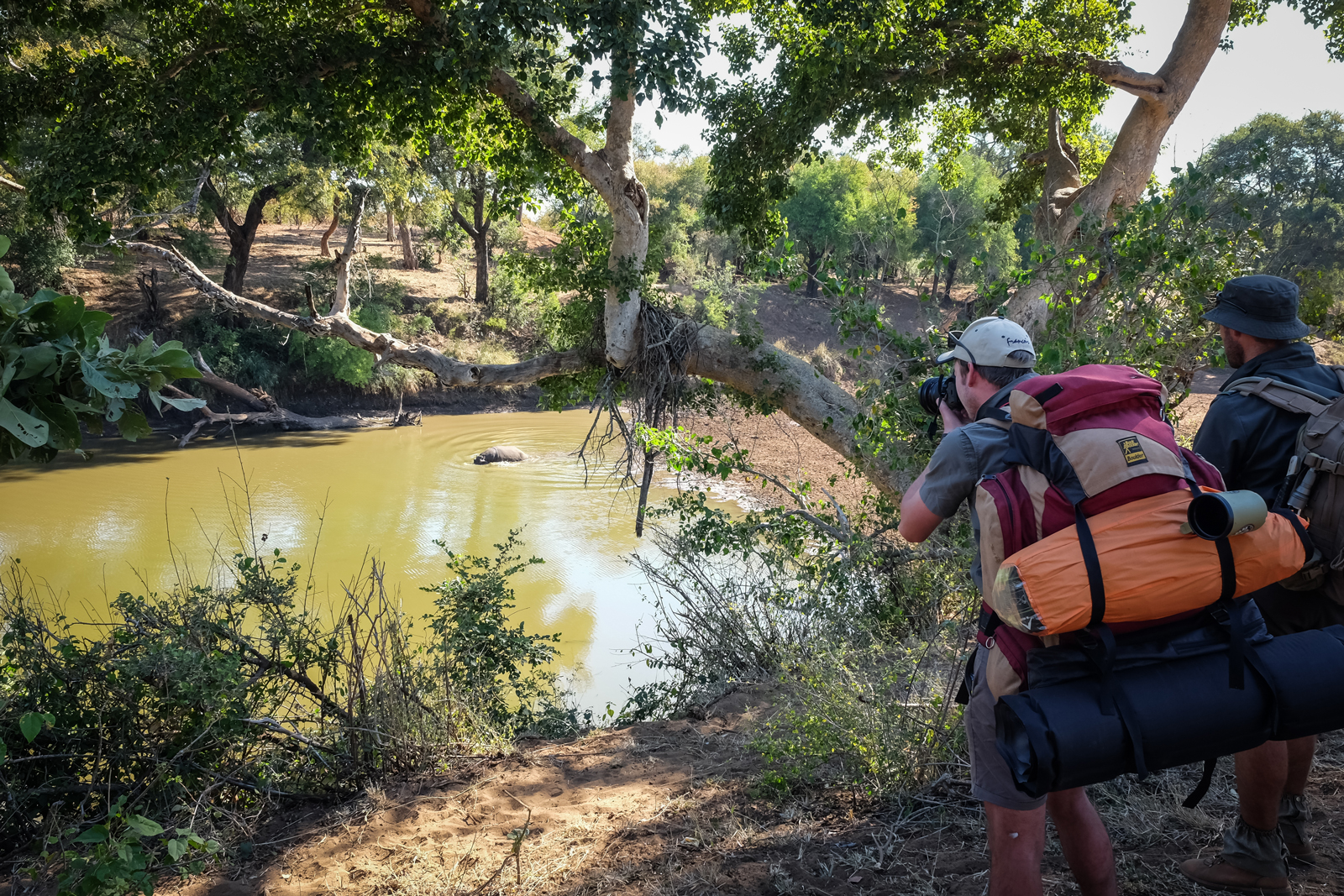 Kruger-National-Park-Mphongolo-Trail