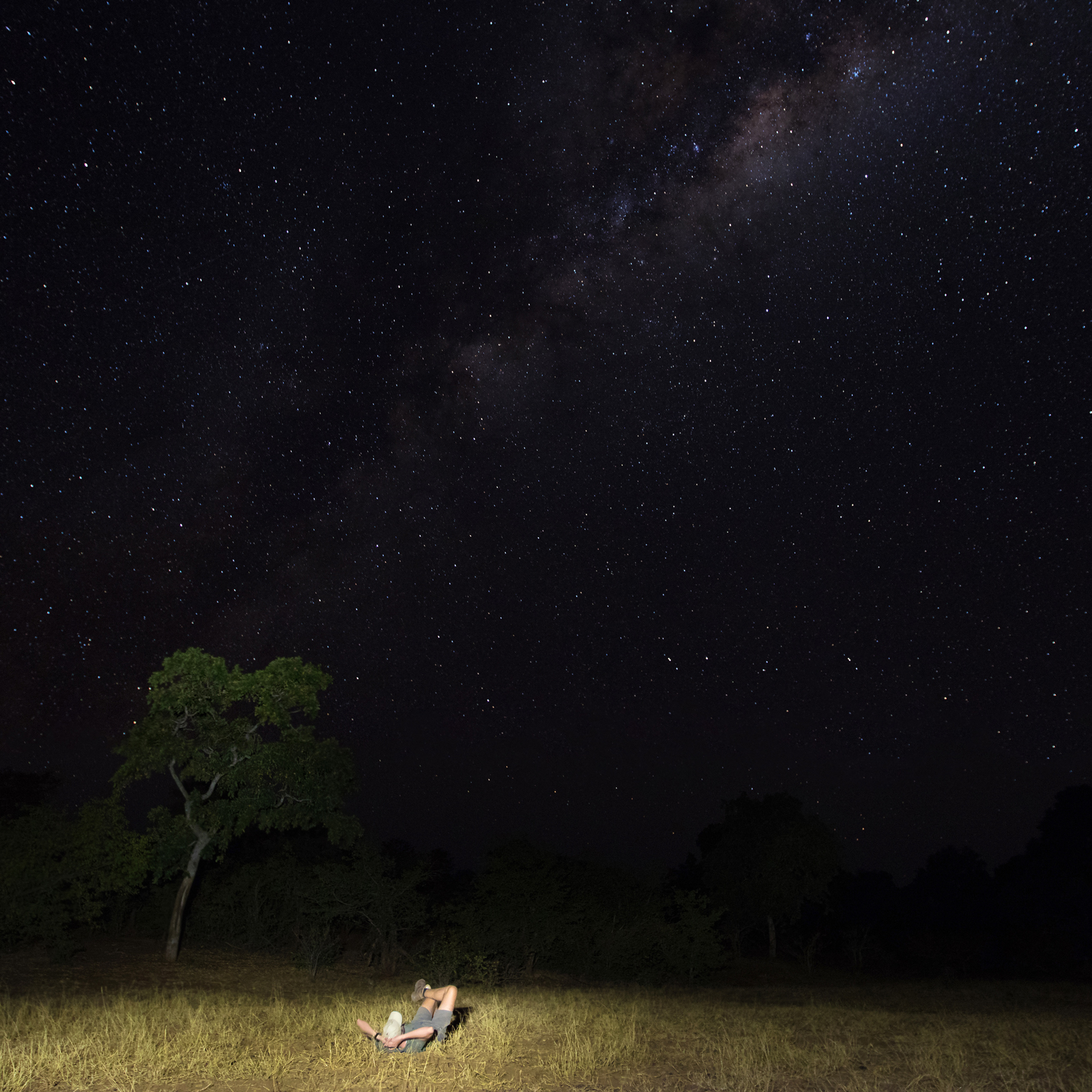 Kruger-National-Park-stars