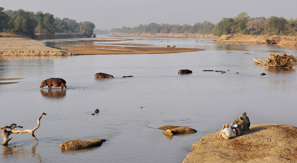 South Luangwa