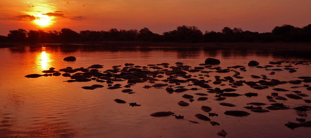 South Luangwa