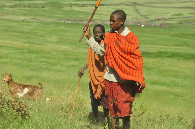 maasai-tribe