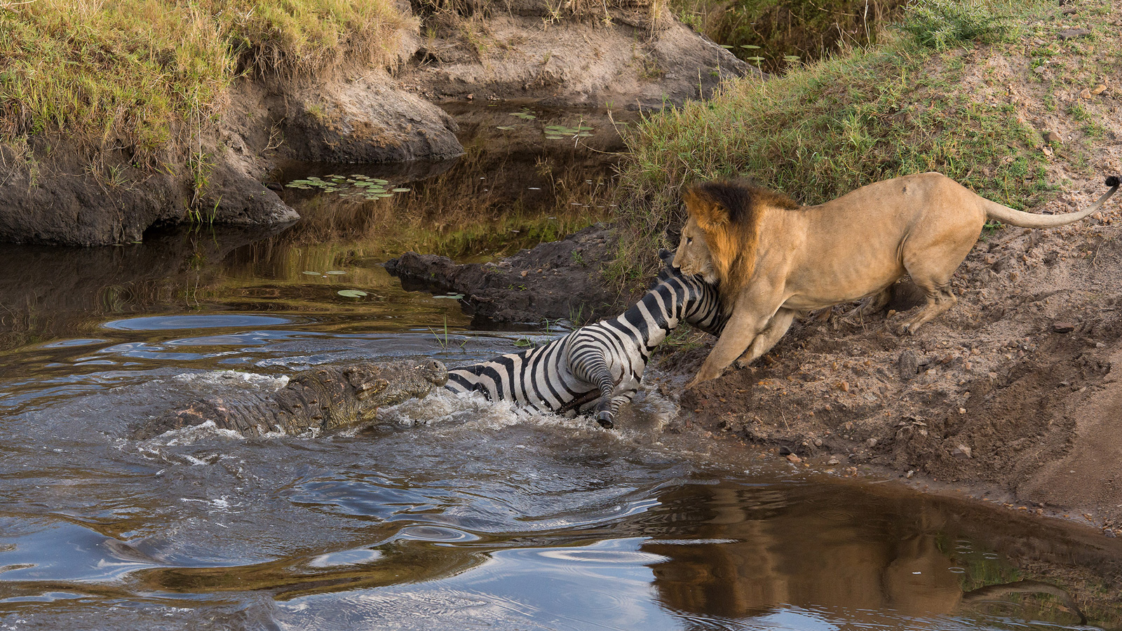 Photographer of the Year