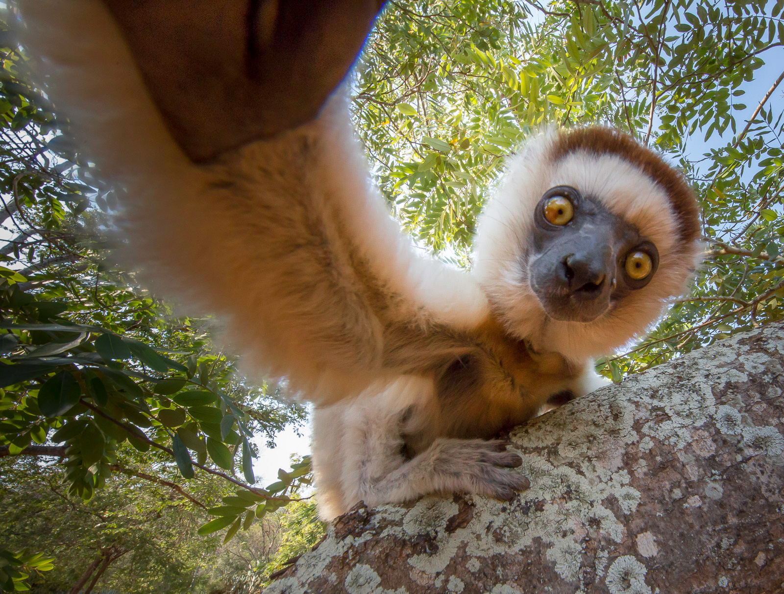 Photographer of the Year