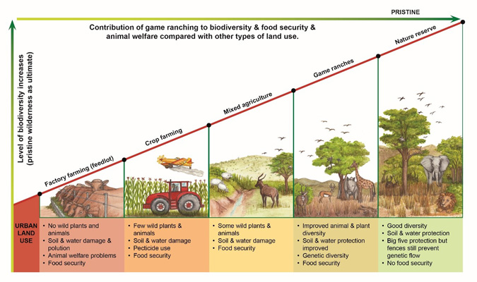 Contribution of game ranching, conservation