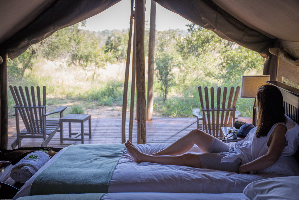 Kruger National Park Plains Camp