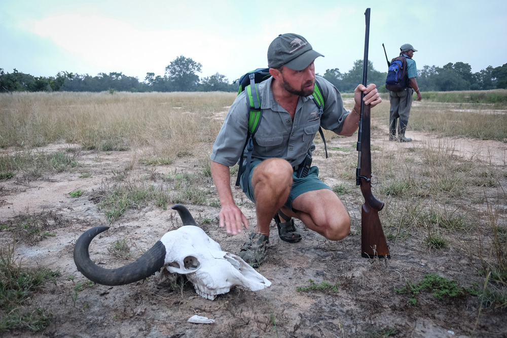 The walking experience with guides from your lodge is highly educational