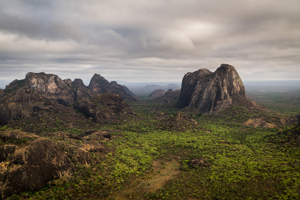 Niassa