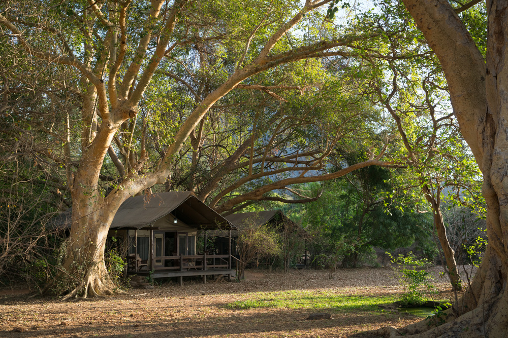 Niassa