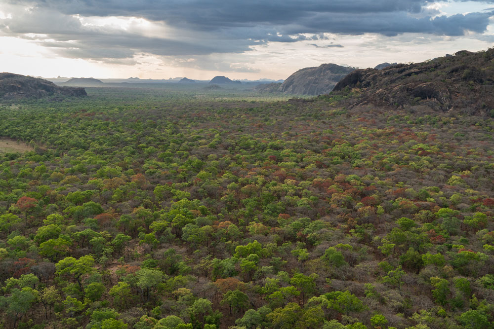 Niassa