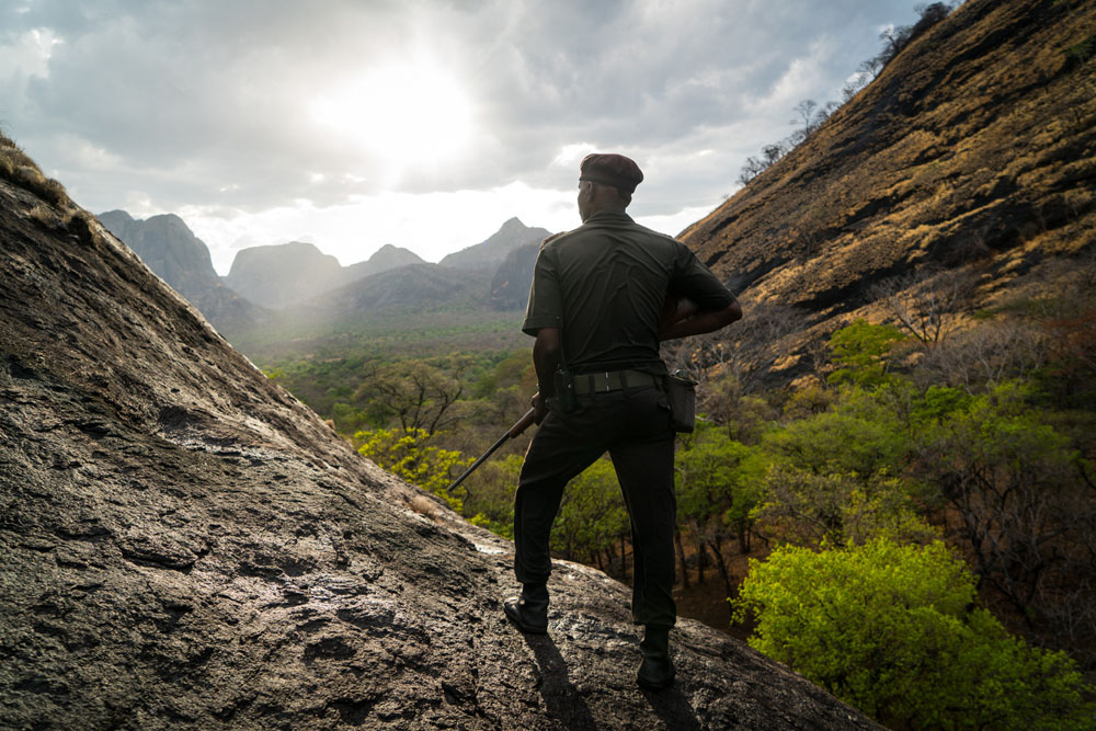 Niassa