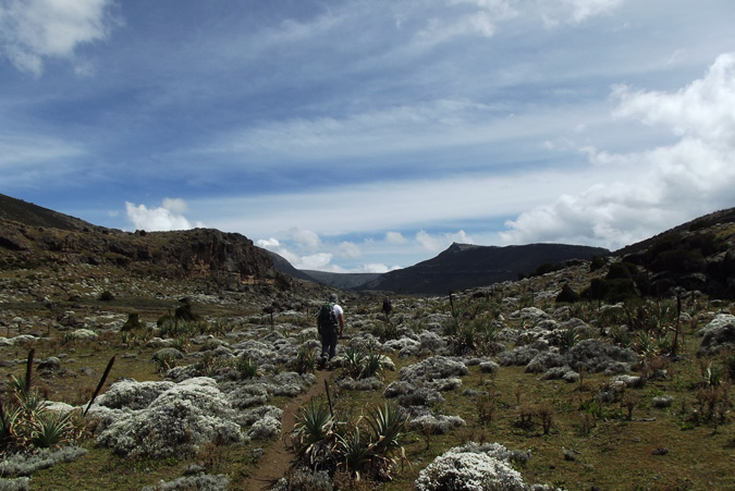 Bale Mountains, Ethiopia