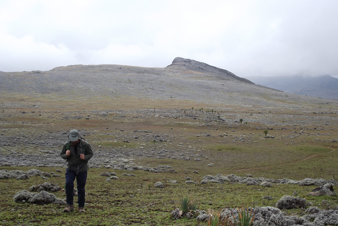 Bale Mountains, Ethiopia