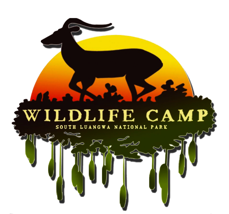 Logo Wildlife Logo high res transparent - Africa Geographic