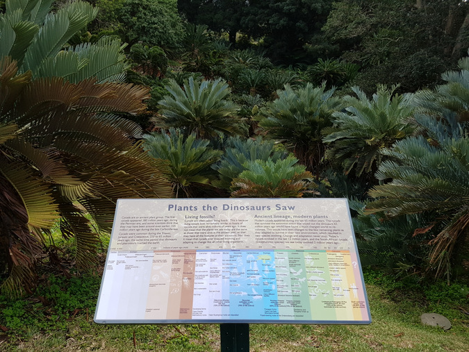 Dinosaurs plants poster, Kirstenbosch National Botanical Gardens, South Africa