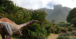 dinosaur and cycads, South Africa