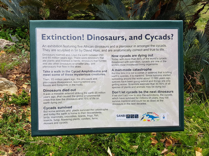 Dinosaur plants poster, Kirstenbosch National Botanical Gardens, South Africa