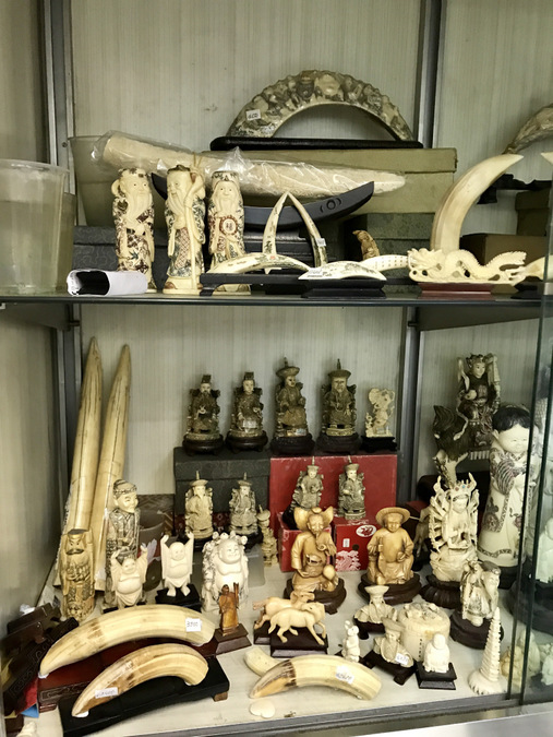 hippo teeth products, ivory, Hong Kong