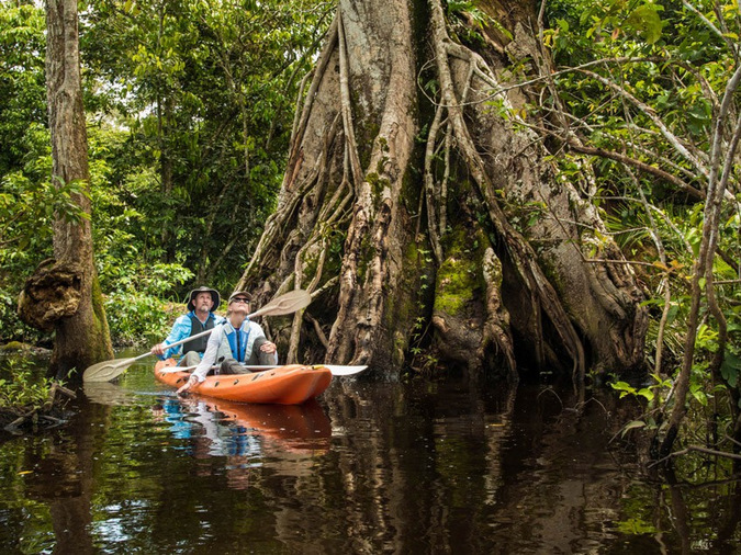 flooded forests, Odzala-Kakoua National Park, Congo