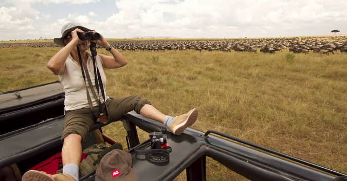 person with binoculars on safari, wildebeest, migration, Serengeti, Tanzania