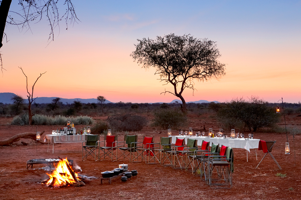 Dining in the bush