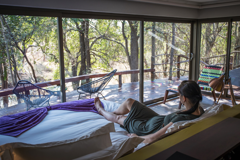 Luxurious accommodation at Jaci's Safari Lodge