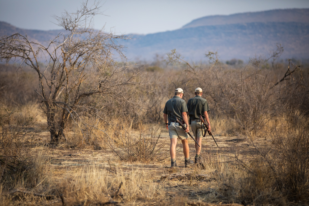 Two rangers walking through Madikwe Game Reserve