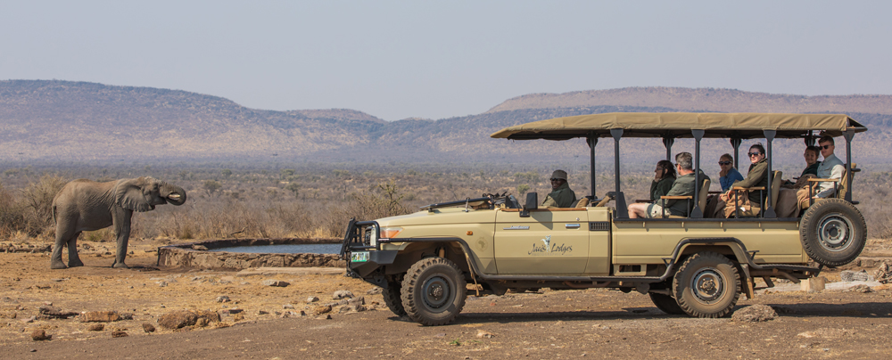 Guests watching an elephant by a waterhole