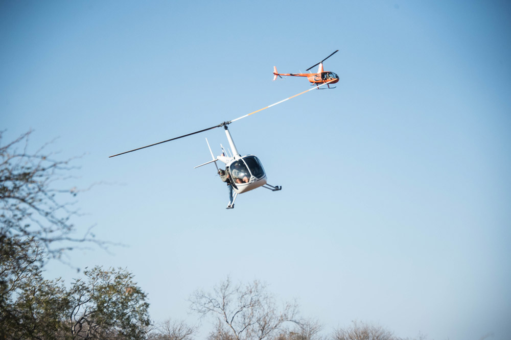 Helicopter pilots and scientists working together in the field