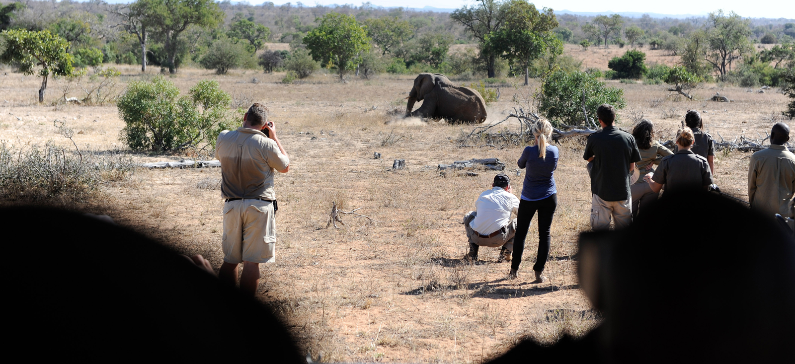 Conservation team watching an elephant