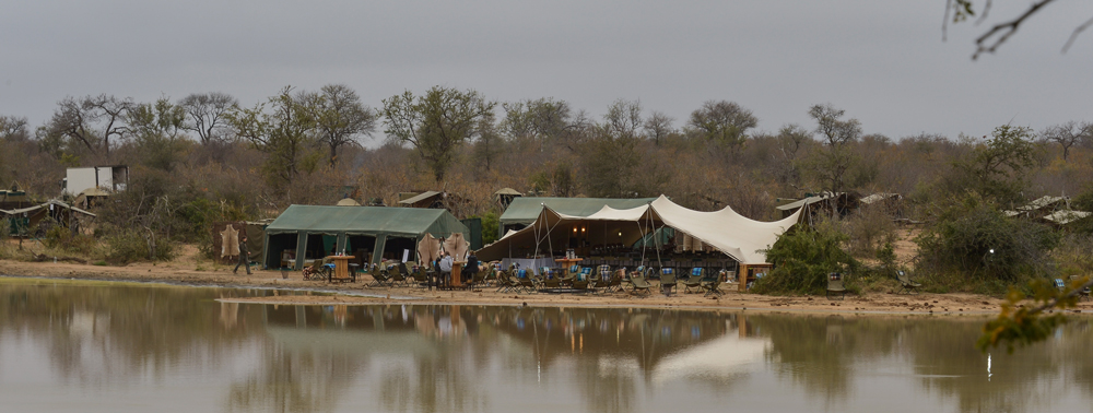 Accommodation on the banks of a river in the bush