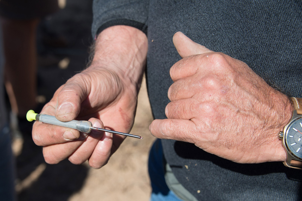 A needle used for conservation efforts